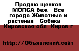 Продаю щенков МОПСА беж - Все города Животные и растения » Собаки   . Кировская обл.,Киров г.